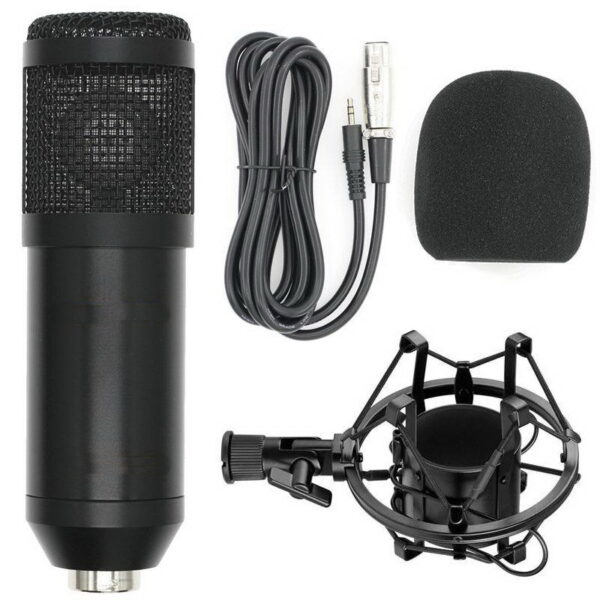 Conqueror Professional Stereo Recording Microphone Condenser Microphone with 3.5mm Plug - BM800