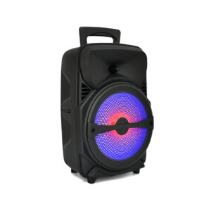 Soundtown LED 8-inch Portable Karaoke Bluetooth Party Speaker With Mic - TL8019